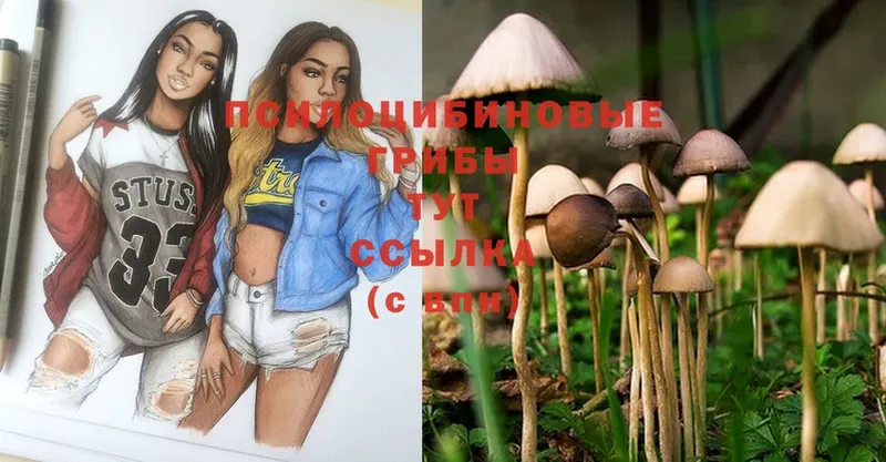 даркнет сайт  Барыш  Галлюциногенные грибы Psilocybe 